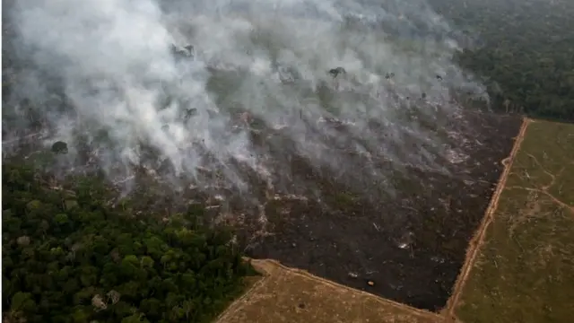 जंगलों में आग