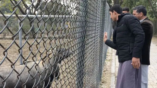 مرغزار چڑیا گھر