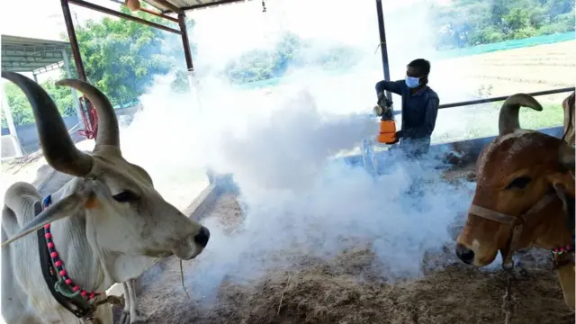 લમ્પી વાઇરસની રોકથામ માટે ચાલી રહેલા પ્રયત્નો