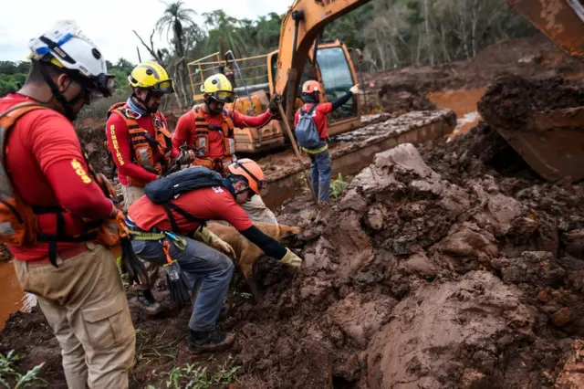 Perro busca en el fango.