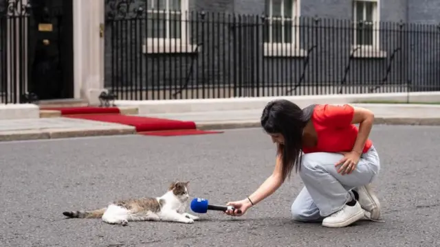 Kobieta w czerwonym T-shircie pochyla się, wyciągając mikrofon w stronę Larry'ego leżącego na ulicy przed siedzibą brytyjskiego premiera. 