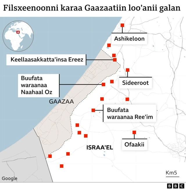 Filisxeemoonni karaa dallaattiin lo'anii seenan