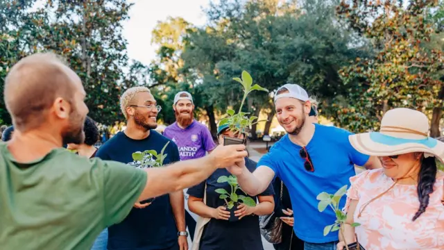 Робин раздает растения