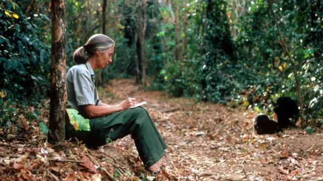 Goodall en Tanzania.