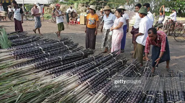 ကြံ