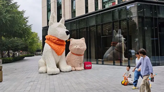 小红书上海公司