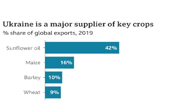 یوکرین سے اناج دنیا بھر کے ملکوں کو جاتا ہے