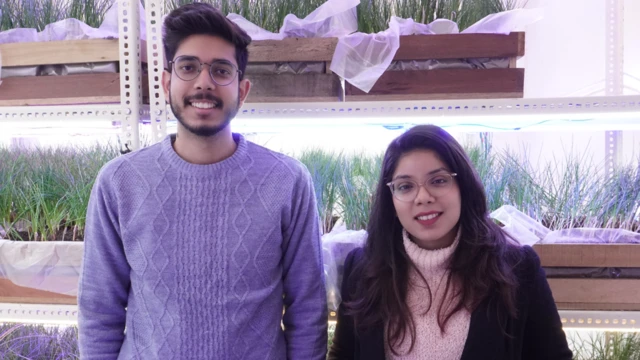 ਆਸਥਿਕਾ ਨਾਰੂਲਾ ਅਤੇ ਸ਼ੰਕਰ ਨਾਰੂਲਾ