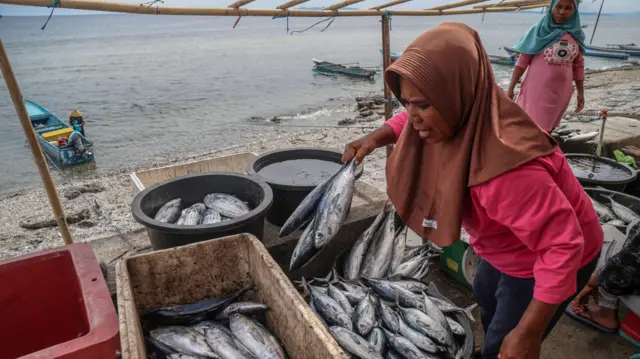 Warga menata ikan hasil tangkapan nelayan di Kampung Nelayan Maju Desa Rutah Kabupaten Maluku Tengah, Maluku, Rabu (10/12/2025).