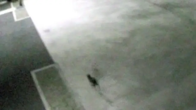 Provided by Nomura Plating