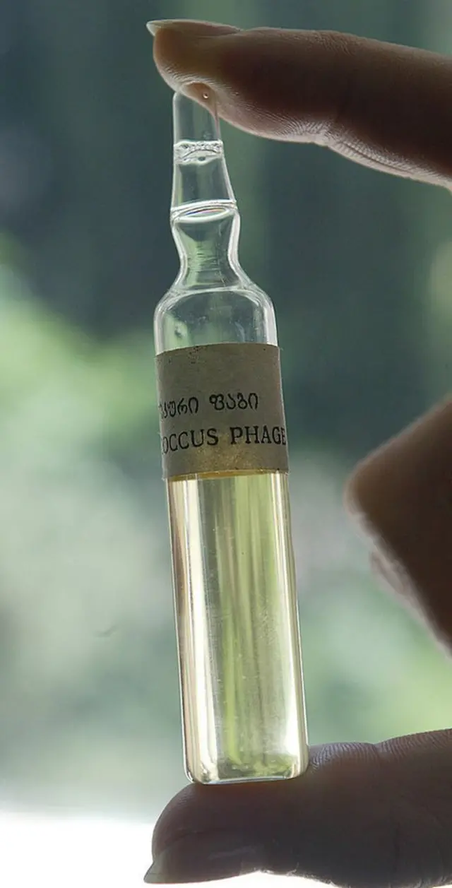 Empolla con bacteriófagos