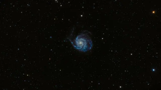 உர்சா மேஜர்