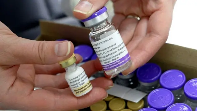 La vacuna Pandemrix y su adjuvante