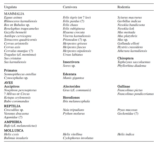 బిల్వ స్వర్గం