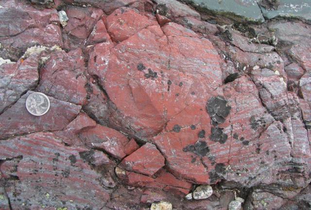 Так можуть виглядати скам'янілі залишки найдавнішого життя - у цьому червонуватому камінні містяться сліди одних з перших мікроорганізмів