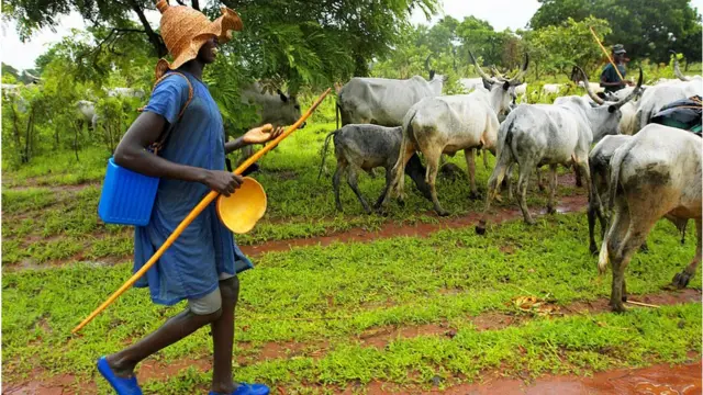 Fulani kan n da agbo ẹran rẹ