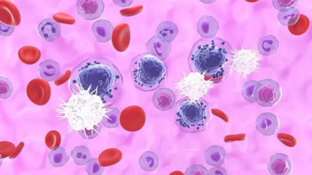 బాలికల విద్య, క్యాన్సర్ పరిశోధనలు, సోలార్ పవర్, పేదరికం, కొత్త ఏడాదిపై ఆశలు