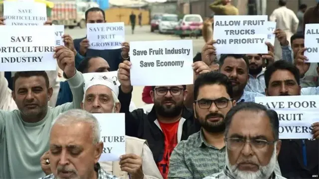 కశ్మీర్ ఆపిల్