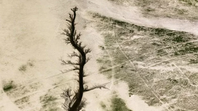 Поянху көлү