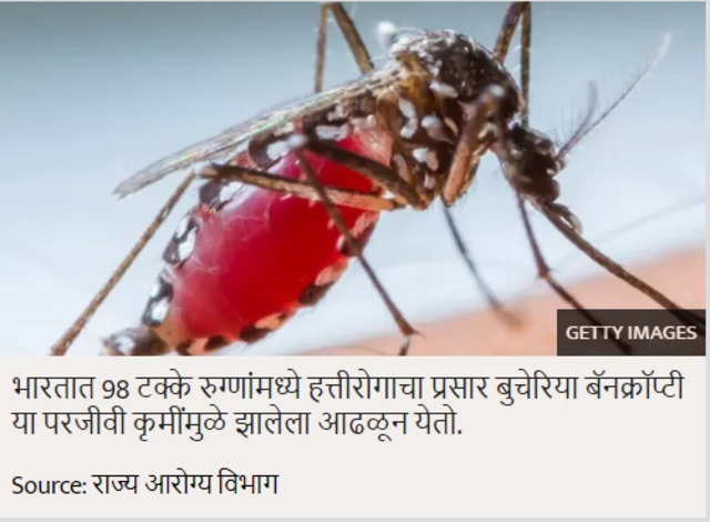 मलेरिया, हत्तीरोगः "मी डास पकडतो कारण......"