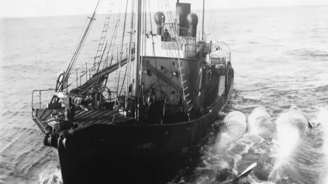 అంటార్కిటిక్, సముద్ర జీవరాశి, బురద