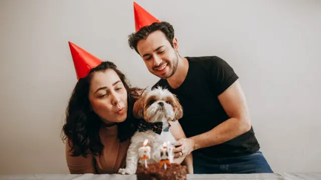 Casal com cachorro e chapeuzinhosroleta de nomes personalizadaaniversário,roleta de nomes personalizadafrente a bolo