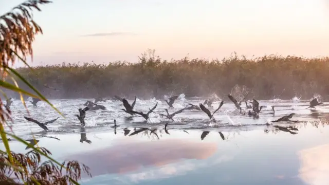 ஹெலென் ஸ்டோரர் எடுத்த ப்ராட்ஸ் தேசிய பூங்கா புகைப்படமும் இந்த போட்டியில் தேர்ந்தெடுக்கப்பட்டது.