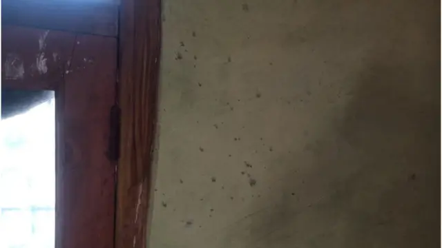 బావన్ఘేడి