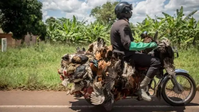 Uganda Bodaboda