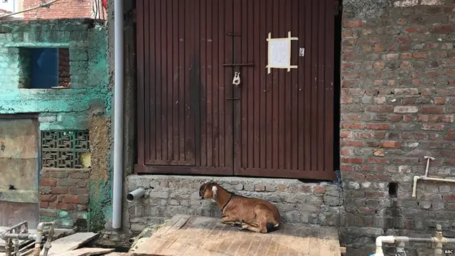 बसीरन का घर