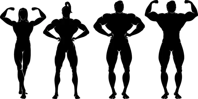 silhouettes masculines et féminines musclées