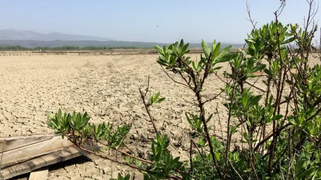 Солана, 14. април 2018.