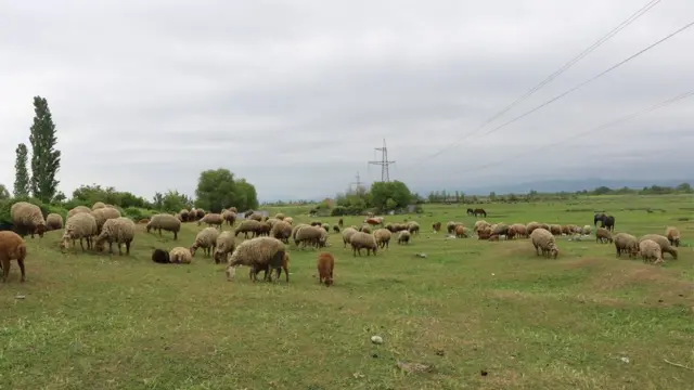 Xaçmazın Çarxı kəndi