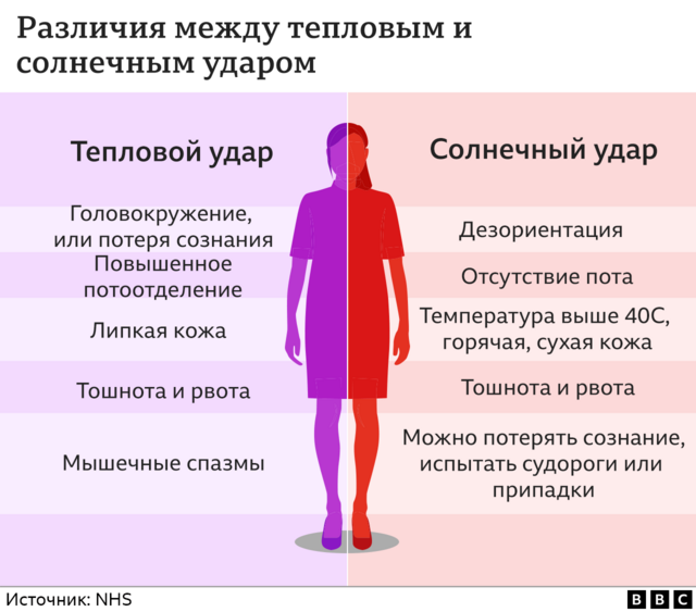 Жара по имени Цербер: юг Европы изнемогает от аномально высоких ...