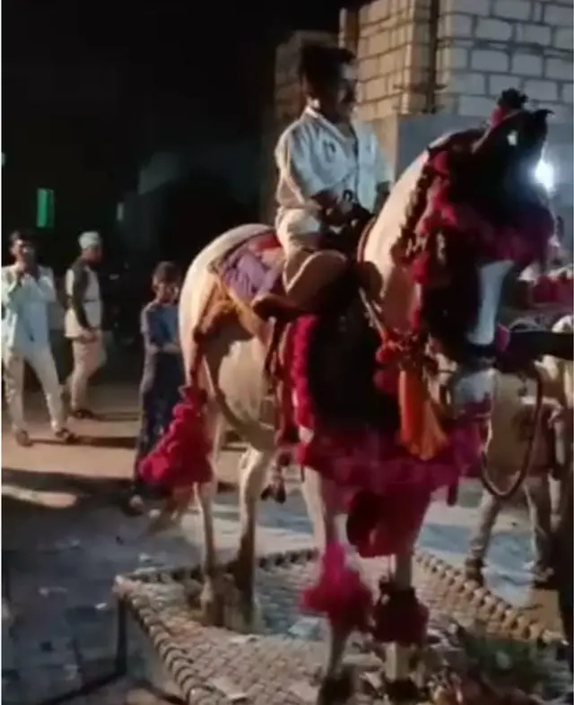 લગ્નમાં ઘોડી પર બેસતાં કથિત સામાજિક બહિષ્કારનો મામલો સામે આવ્યો