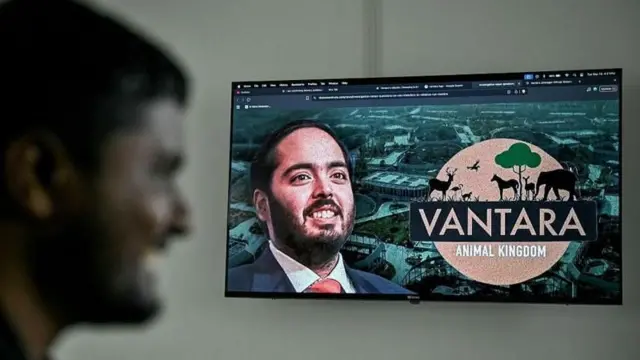 બીબીસી ગુજરાતી, ગુજરાત, બીબીસી, અમદાવાદ, વનતારા બીબીસી ગુજરાતી, ગુજરાત, બીબીસી, અમદાવાદ, વનતારા કોલંબિયા પાબ્લો એસ્કોબાર સાથે સંકળાયેલા 80 હિપ્પોને કેમ મારી નાખવા માગે છે? અનંત અંબાણી તેના વિશે શું પ્રતિક્રિયા આપી? વનતારા જામનગર ગુજરાત ગુજરાતી 