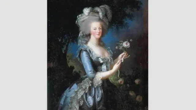 پرترهای که لو برون از ماری آنتوانت کشید با دادن چهرهای کاملا هابسبورگ به ملکه باعث خوشنودی و علاقه او به نقاش شد