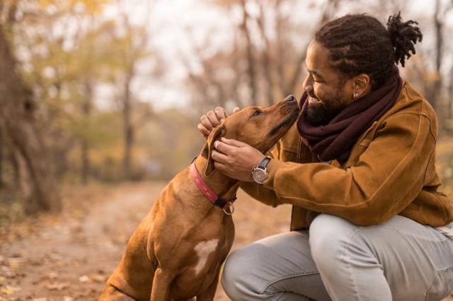 Homem acariciando cachorro em parque