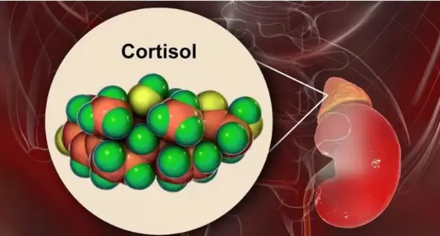 தூக்கம், உடல்நலம், ஆரோக்கியம்