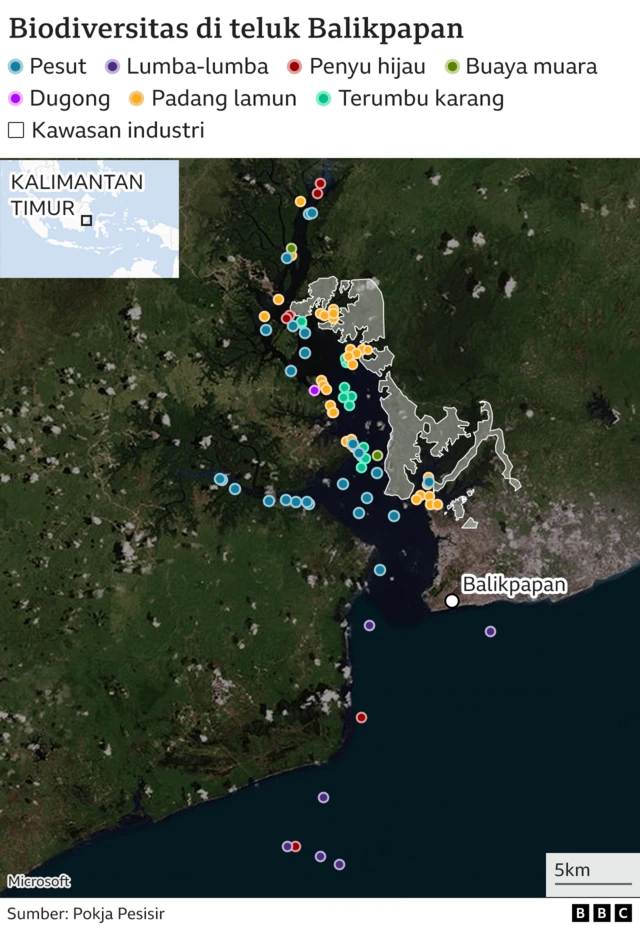 Sebaran satwa Teluk Balikpapan.