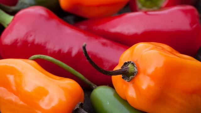 Varios chiles junto