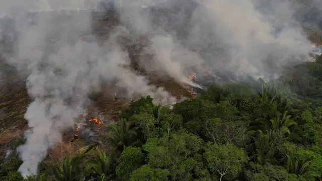 巴西的亞馬遜熱帶雨林被開墾