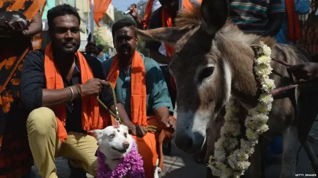 : Indian activists of the right wing Barathiya Hindu Sena group depict a marrige between a dog and donkey during a protest against Valentine's Day in Chennai