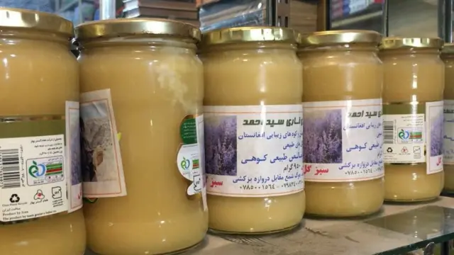 بلخ
