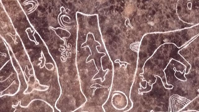 失われた文明の痕跡？ 岩に刻まれた絵、サメやクジラも インド - BBC