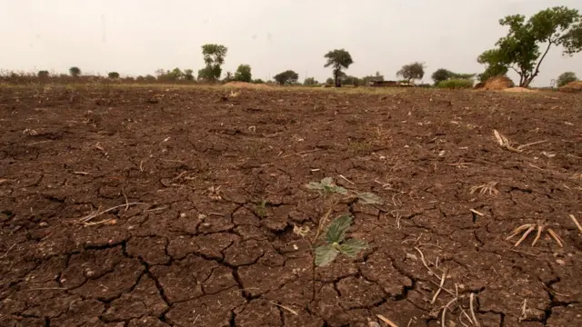 నేలలో తేమ శాతం