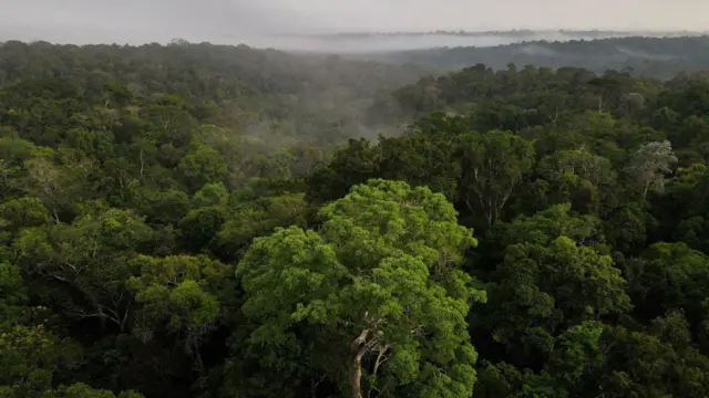 Amazônia