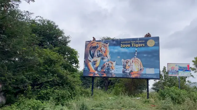 అమ్రాబాద్ టైగర్ రిజర్వు