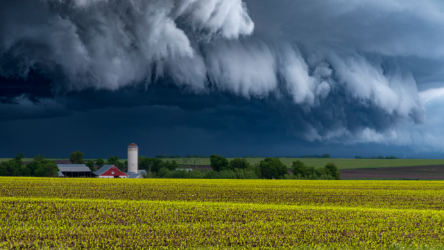 WEATHER