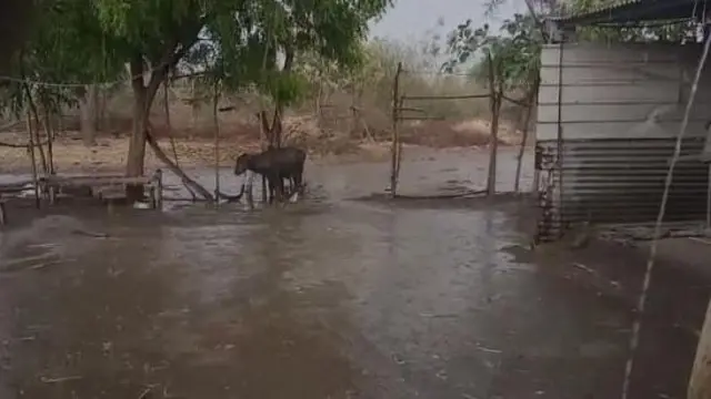 ગુજરાત, વરસાદ, કમોસમી વરસાદ, માવઠું, કરાં, બીબીસી ગુજરાતી